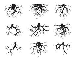 Set of black Tree Roots. Vector outline Illustration and nature image.