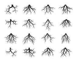 Set of black Tree Roots. Vector outline Illustration and nature image.