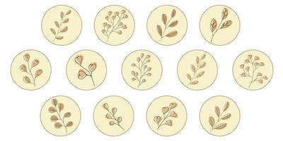 Vector set of icons and emblems for social media story highlight covers. Design templates for bloggers, photographers and designers. Abstract minimal circle backgrounds with nature leaves.