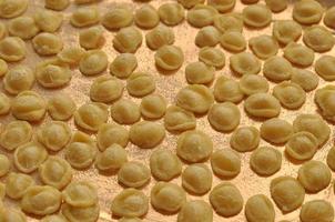 orecchiette pasta food photo