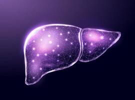 Human purple liver. Wireframe low poly style. Concept for medical, treatment of the hepatitis.  Abstract modern 3d vector illustration on dark background.