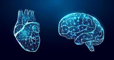 Human heart and brain. Wireframe low poly style. vector