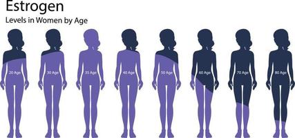 Estrogen levels in women by age vector