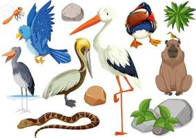 Different kinds of wild animals collection vector