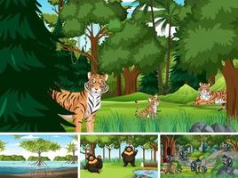 Different forest scenes with wild animals vector