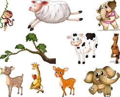 Set of animal cartoon character vector