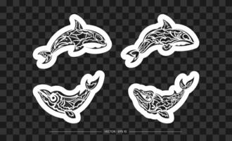 Set of print whale in boho style. Isolated. Vector