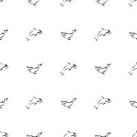 Seamless Black and White Pattern with Whales in Simple Style. Good for backgrounds and prints. vector