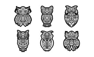 Set of owls print. Samoa and Hawaii patterns. Good for t-shirts, cups, phone cases and more. Vector illustration.