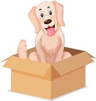 A dog sitting in the box on white background vector