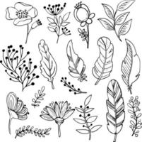 Vector botanical set. Spring and summer herbs and flowers. Hand drawn wildflowers and branches with leaves. Elements for your design