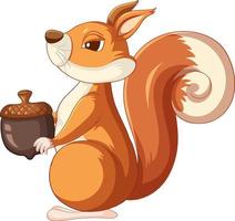 Cute cartoon squirrel holding acorn on white background vector