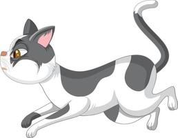 A cat running on white background vector