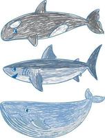 A paper with a doodle design of the different sea creatures with colour vector