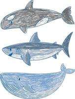 A paper with a doodle design of the different sea creatures with colour vector