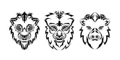 conjunto de logotipo de león. colección de diseño premium. ilustración vectorial vector