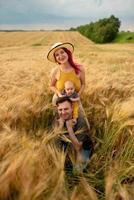 padre, madre y su pequeño hijo se divierten juntos en un campo de trigo. foto