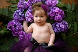 retrato de una niña linda. el bebé yace en los colores de la hortensia morada foto