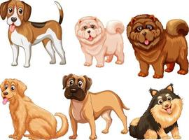 conjunto de diferentes perros lindos en estilo de dibujos animados vector