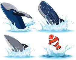 Set of different ocean animals vector