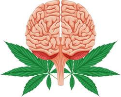 cerebro humano y planta de cannabis vector