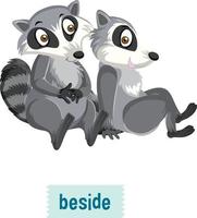 English prepositions where raccoons sit beside each other. vector