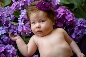 Portrait of a cute little girl. Baby lies in the colors of purple hydrangea photo