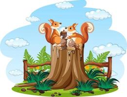 Two squirrels with nuts in the park vector