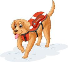 A dog in rescue uniform on white background vector