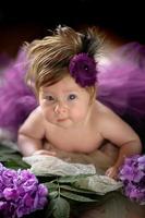 retrato de una niña linda. el bebé yace en los colores de la hortensia morada foto