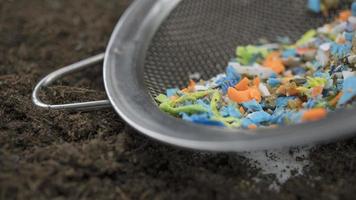 Microplastics hand-picked with a steel sieve from the beach. Non-recyclable plastic pollution in the oceans. photo