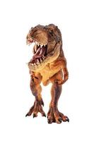 Tyrannosaurus rex  , Dinosaur on isolation background photo