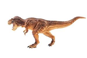 Tyrannosaurus rex  , Dinosaur on isolation background photo