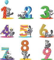 Set of different raccoon holding the numbers isolated on white background vector