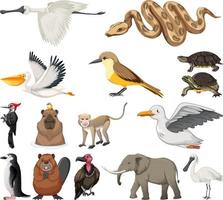 Different kinds of animals collection vector