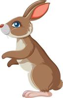 Brown bunny standing sideway vector