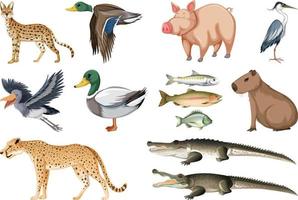 Different kinds of animals collection vector