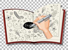 Hand drawn doodle of fruits vector