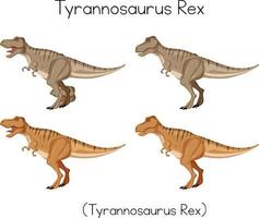 Tyrannosaurus Rex wordcard on white background vector