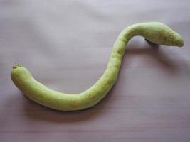 snake shaped pumpkin photo