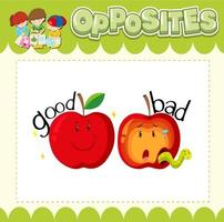 Education word card of English opposites word vector