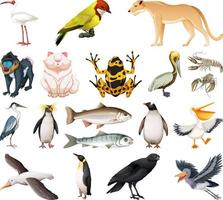 Different kinds of animals collection vector