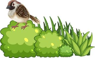 A bird on bush in cartoon style vector