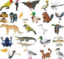 Different kinds of animals collection vector