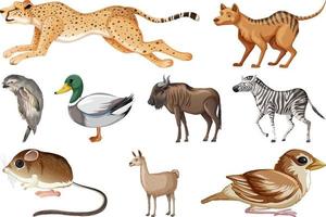 conjunto de diferentes tipos de animales vector