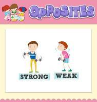 Opposite words for strong and weak vector