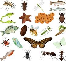 Different kinds of insects and animals on white background vector