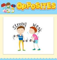 Opposite words for strong and weak vector