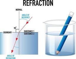 experimento científico de refracción con lápiz en vaso de agua vector