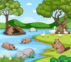 River in the forest with beavers and ducks vector